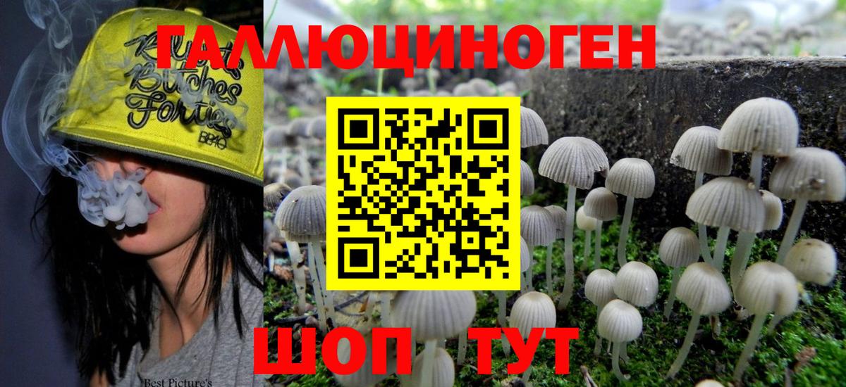 Галлюциногенные грибы прущие грибы Гудермес